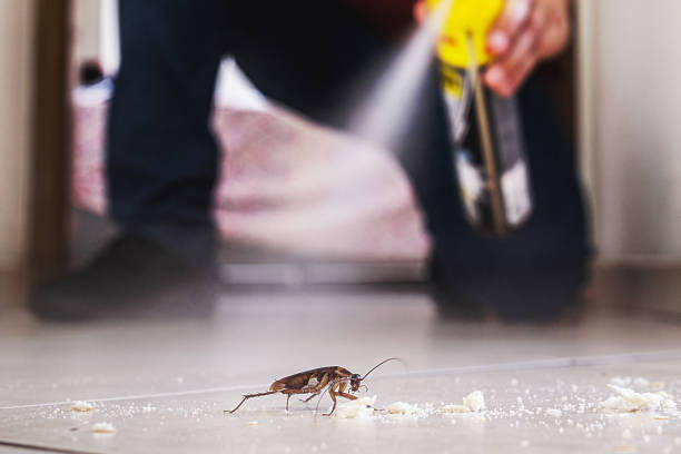Best Best Pest Control Companies  in Sammamish, WA