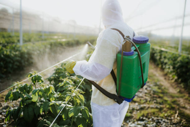 Best Commercial Pest Control Services  in Sammamish, WA